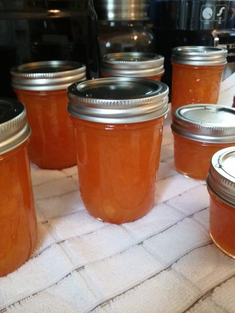 Cantaloupe Jam, Cantaloupe Jam Recipes, Cantaloupe Recipes, Canning Jam Recipes, Fit Moms, Home Canning Recipes, Jam Recipes Homemade, Canning Jam, Homemade Jelly