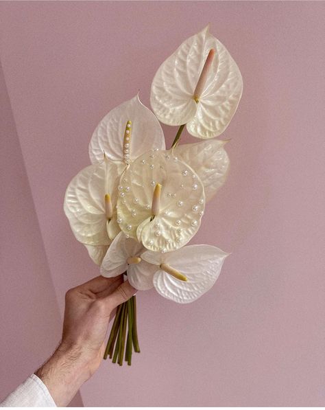 Anthurium Bouquet, White Silver Wedding, Elopement Bouquet, Unique Wedding Bouquet, Courthouse Wedding Photos, Yacht Wedding, Flower Branding, Wedding Backdrop Design, Bridal Bouquet Flowers