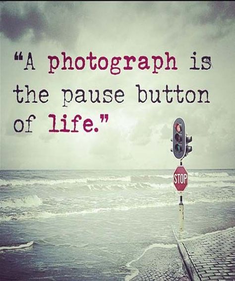 A photograph is the  pause button of life. ~Sayings  #photography #photograph #life #pause #memory #quotes Love And Romance Quotes, Quotes Memories, Quotes Amazing, Citation Art, Pause Button, The Pause, Photography Quotes, Romance Quotes, Love Life Quotes