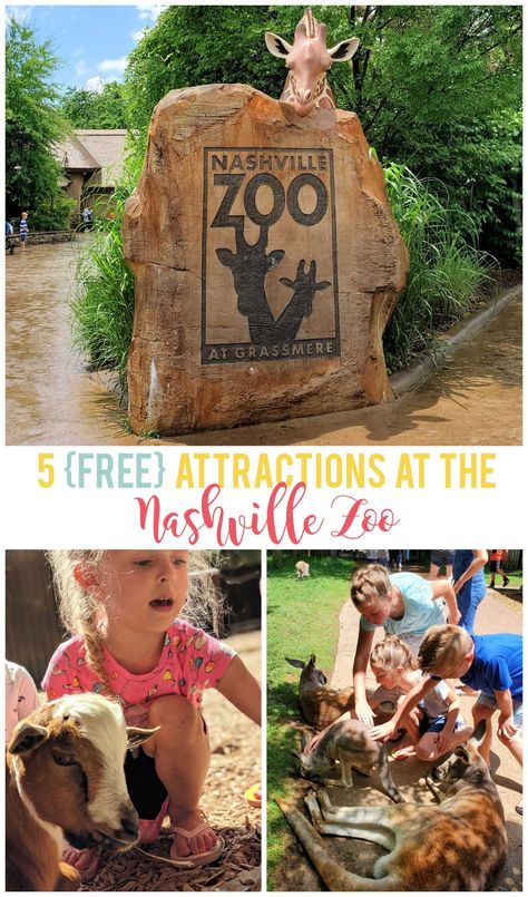 These 5 free attractions at the Nashville Zoo at Grassmere are fun and unique, plus each one is great for all ages. Click through to read more about each attraction! Zoo Signage, Monument Signs, Tennessee Travel, Environmental Design, Music City, Zoo Animals, Wheelchair, Travel With Kids, Water Park