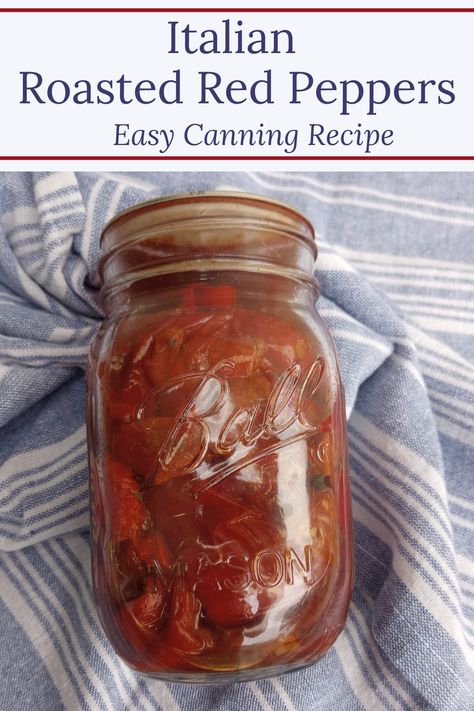 Tender, sweet, with just the right amount of heat. These Italian Roasted Red Peppers will be a delicious addition to all of your favorite recipes. This is an easy pressure canning recipe that you will want to have on your pantry shelf all year long! #canning #preserving #peppers #gardening Roasted Red Pepper Jar Recipes, Preserving Roasted Red Peppers, Preserving Red Peppers, Canning Red Peppers, Canning Peppers Recipes, Canning Roasted Peppers, Canning Roasted Red Peppers, Roasting Red Peppers, Peppers Gardening