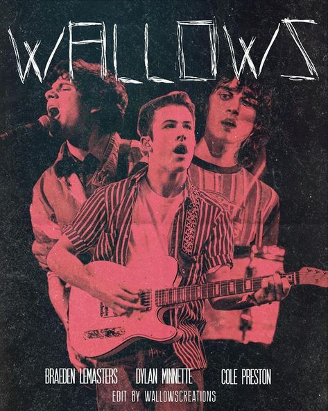 Wallows Concert Poster! Wallows Poster, Wallows Concert, Concert Poster, Cover Art, Guitar, Band, Concert, On Twitter, Twitter