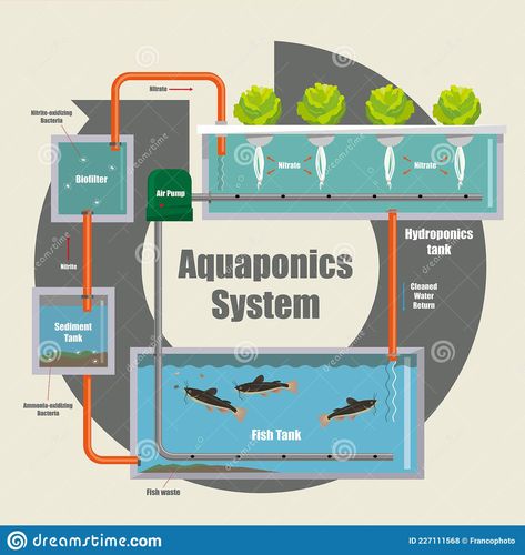 Hydroponic Gardening Diy, Aquarium Sump, Aquaponics Greenhouse, Aquaponics Diy, Vegetable Planters, Aqua Culture, Farming Techniques, Aquaponic Gardening, Vertical Farming