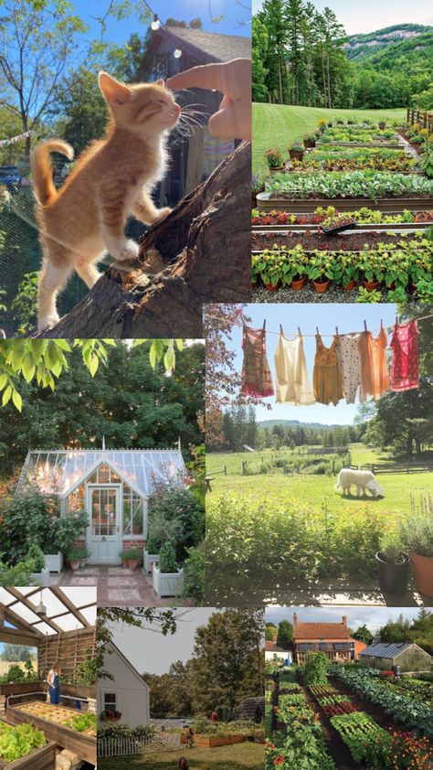 #farm #cats #nature #summer Owning A Farm Aesthetic, Little Farm Aesthetic, Old Money Farm Aesthetic, Mini Farm Aesthetic, Summer Farm Aesthetic, Aesthetic Farm Life, Farm Home Aesthetic, Farm Gardens Country, Small Farm Aesthetic