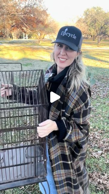 Sarah Teresinski on Instagram: "Part 17 of my Thrift Series called “What would I do with that?! Today let’s have fun with a standing vintage birdcage! I love this upcycle!!!! #upcycledhome #homestyling #homehack #homedecor #homedecor #hack #lifehacks #upcycle #rework #diy #trellis #homedecor #upcycling #upcycle  #diy #thriftflip #homedecor #upcycles #rework #upcycling #thriftflip  #sconce #reuse #recycle #secondhandstyle  #transform #oldtonew #upcycleddesign  #upcyclersofinstagram #makersofinstagram #thriftflip #mirror #sustainablestylist #birdcage" Antique Bird Cage Decor Ideas, Birdcage Decor Ideas, Sarah Teresinski, Birdcage Decor, Vintage Birdcage, Upcycle Diy, Secondhand Style, Diy Trellis, Bird Cage Decor