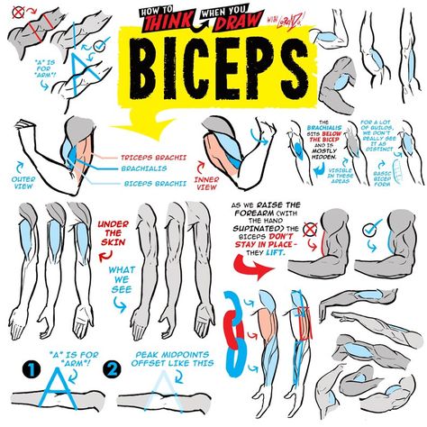 EtheringtonBrothers on X: "BICEPS from the How to THINK When You Draw ENCYCLOPEDIA - the world’s ONLY encyclopedia of drawing tutorials, posted up FREE for EVERYONE, FOREVER, with NEW & CLASSIC tutorials coming up EVERY DAY right here only on our twitter :) #gamedev #manga #conceptart #illustration https://t.co/DxLEV0e9CT" / X Drawing Wrinkles, Etherington Brothers, Comic Tutorial, How To Think, Art Advice, Human Anatomy Drawing, Drawing Examples, Human Figure Drawing, Human Anatomy Art