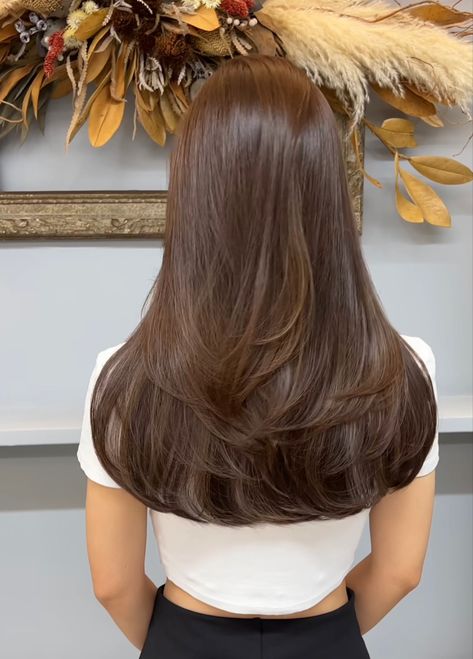 Level 7 Chocolate Brown Hair, Angel Haircut, Perfect Brown Hair, Meduim Length Hair, Hazel Brown Hair, Best Fall Hair Colors, Natural Brown Hair, Haircuts For Long Hair With Layers, Chestnut Hair Color