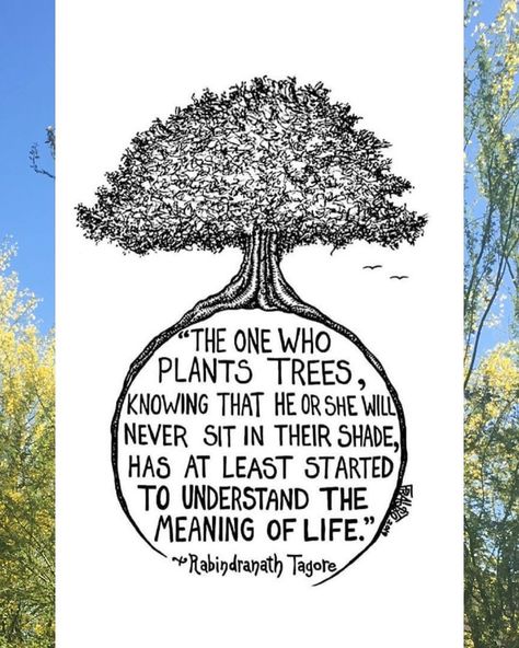 Trees Matter on Instagram: “A little Monday inspiration! ✨🌳 We hope this quote brightens your morning like it did for us. Have a great week, everyone! 💚 . . .…” Tree Of Life Quotes, Tagore Quotes, Connection Quotes, Tree Quotes, Plants Quotes, Rabindranath Tagore, Garden Quotes, Tree Drawing, Meaning Of Life