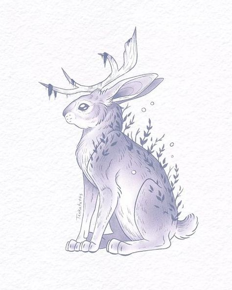 rabbit tattoo design • Instagram Jackalope Aesthetic, Jackalope Wallpaper, Jackalope Oc, Jackalope Character, Dnd Companions, Jackalope Drawing, Rabbit Tattoo Design, Fantasy Rabbit, Cryptic Creatures