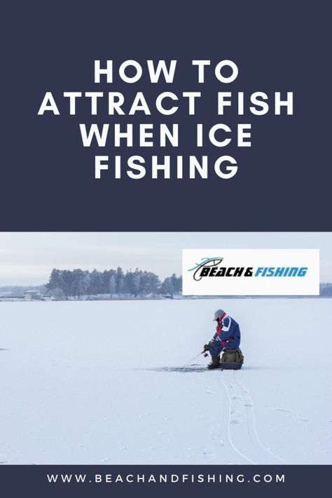 How To Attract Fish When Ice Fishing In 2022 Ice Fishing Hacks, Ice Fishing Diy, Ice Fishing Tip Ups, Ice Fishing Sled, Diy Fishing Gear, Ice Fishing Tent, Ice Fishing Shack, Ice Fishing Shelter, Ice Fishing Tips