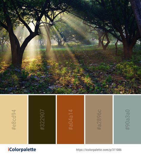 Color Palette Theme, Pallet Inspiration, Color Moodboard, Rustic Color Palettes, Woodland Tree, Color Palette Ideas, Forest Grove, Orange Color Palettes, Morning Nature