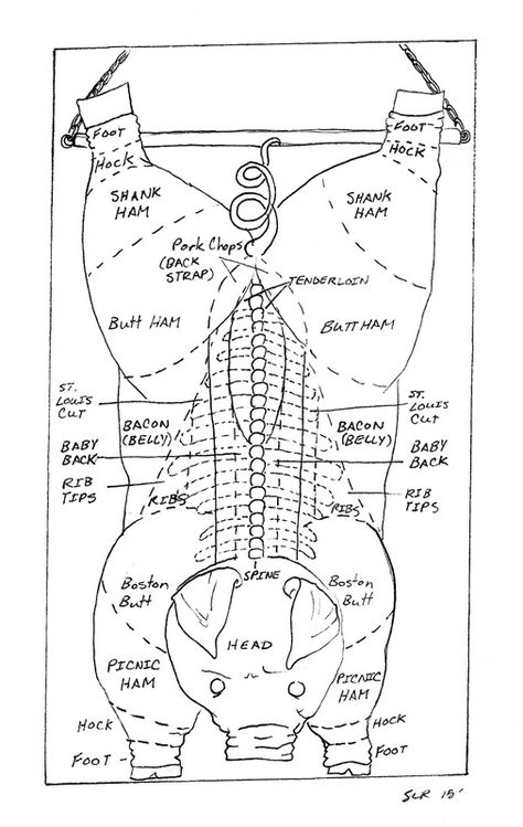 Pig Diagram, Meat Cuts Chart, Beef Cuts Chart, Pastured Pigs, Pig Meat, Butcher's Cut, Raising Pigs, Cooking Tricks, Pig Farming