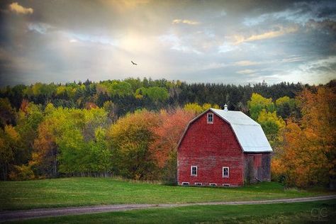 Truro Nova Scotia, Truro, Landscape Scenery, Red Barn, Nova Scotia, Country Life, Glasgow, Mixed Media, Cabin