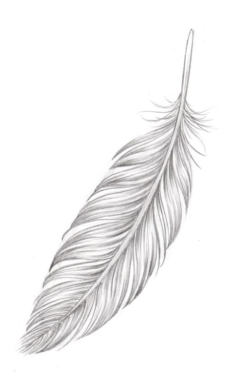 White Feather Tattoos, Atrapasueños Tattoo, Feather Sketch, Indian Feather Tattoos, Feather Drawing, Feather Embroidery, Feather Diy, Feather Tattoo Design, Watercolor Feather