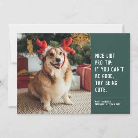 $2.70 | Funny cute pet photo Christmas Holiday Card #funny pet card, funny christmas card, nice list, naughty list, humor, cute, dog christmas card, dog, merry christmas, green Christmas Pet Photos, Pet Holiday Cards, Dog Christmas Photos, Black Gold Christmas, Pet Christmas Cards, Funny Holiday Cards, Christmas Props, Dog Christmas Card, Pet Christmas