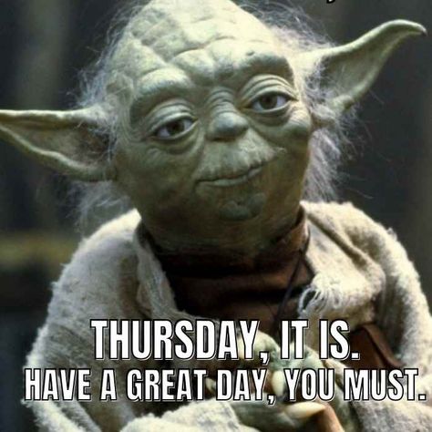 yoda happy thursday memes Star Wars Love Quotes, Thursday Meme, Friday The 13th Memes, Library Memes, Yoda Meme, Star Wars Meme, Morning Memes, Beard Humor, Star Wars Love