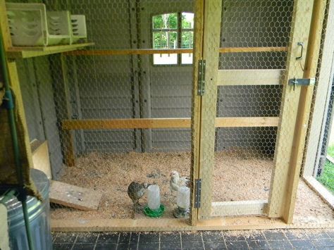 Shed To Chicken Coop, Shed Transformation, 8x10 Shed, Urban Chicken Farming, Shed Building, Coop Design, Best Chicken Coop, Chickens And Ducks, Chicken Houses