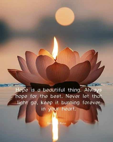 I Am Beautiful Quotes Affirmations, Glow Quotes Inspiration Beautiful, Be Positive Quotes, Lotus Quotes, Quotes Comfort, Quotes About Positivity, Quotes About Lotus Flower, Be Like A Lotus Quotes, Lotus Quotes Inspiration Beautiful