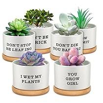 Tray Ceramic, Plants Pots, Cute Teacher Gifts, Funny Teacher Gifts, Teacher Birthday, Succulent Garden Diy, Bamboo Tray, Gifts Set, Cactus Pot