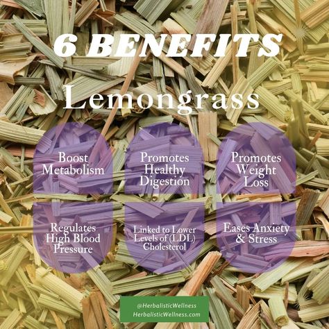 🌿✨ Hey Herbies, Discover the amazing benefits of lemongrass! From aiding digestion and promoting skin health to relieving stress and boosting weight loss, lemongrass is a versatile herb you need in your wellness routine. 🌱 ➡️ Learn more about how lemongrass can transform your health at https://herbalisticwellness.com/s/shop/lemongrass-leaf/ . #Lemongrass #HerbalWellness #NaturalRemedies #DigestionAid #SkinHealth #StressRelief #WeightLoss #Antioxidants #AntiInflammatory #HeartHealth #BloodPr... Benefits Of Lemongrass Tea, Lemongrass Tea, Medical Herbs, Ldl Cholesterol, Wellness Routine, Healthy Weight, Skin Health, Lemon Grass, Herbs