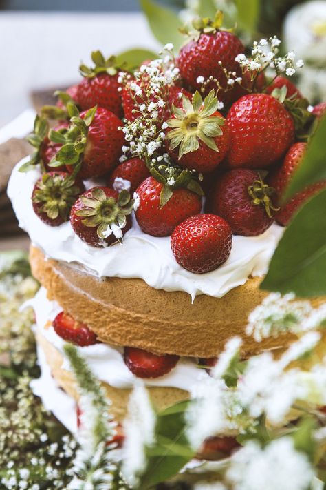 Strawberry Elderflower Chiffon Cake – HonestlyYUM Elderflower Cake, Summer Solstice Party, Delicious Strawberry Cake, Solstice Party, Solstice Celebration, Brownie Desserts, Oreo Dessert, Strawberry Cakes, Chiffon Cake