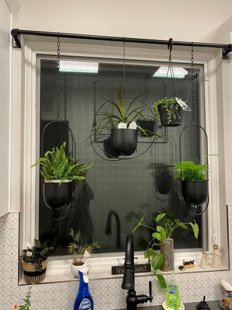 Over The Window Plant Hanger, Windows With Hanging Plants, Curtain Pole Plant Hanger, Plant Hanging Bar, Hanging Plants Above Kitchen Sink, Plants Over Window, Plant Hanger Window, Plant Hallway, Window Hanging Plants