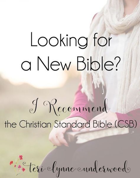 If you are looking for a new Bible, either for study or general use, I recommend the Christian Standard Bible (CSB). Both readable and accurate, the CSB has editions for every age range and preference. Christian Standard Bible, Csb Bible, Esv Study Bible, Life Encouragement, Jesus Girl, Bible Study Tips, New Bible, Study Bible, For The Record