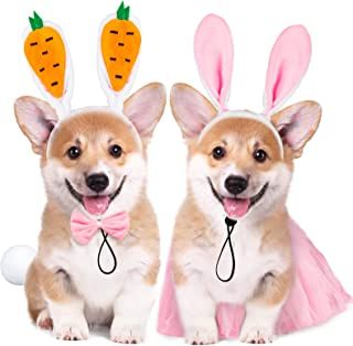 Easter Dog Photoshoot, Puppy Easter Photoshoot, Halloween Costumes For Two, Costumes For Two, Easter Dog Pictures, Easter Golden Retriever, Fun Halloween Costumes, Dog Easter, Pink Pet