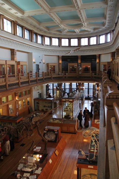 One of Canada's oldest museums, the beautiful Redpath has been serving up Natural History and Ethnography since 1882. Montreal Vacation, Montreal Travel, Atlas Obscura, Of Montreal, Travel Humor, Montreal Quebec, Outdoor Quotes, Summer Road Trip, Quebec City