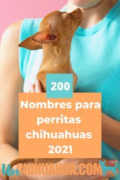 Escoge el mejor nombre para tu perrita chihuahua. #chihuahua #chihuagueños #perritos #perros pequeños #perrosdecompañia Chihuahua Dogs, Big Heart, Small Dogs, Chihuahua, Top 10, Cute Animals, Dogs, Animals