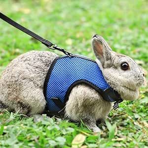 Bunny Leash, Rabbit Harness, Bunny Harness, Mesh Vest, Small Dog Harness, Small Rabbit, Pet Kitten, Cat Harness, Pet Rabbit