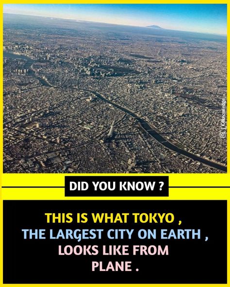 Japan Tokyo City, Facts About Japan, Japan Facts, Hadron Collider, Fun Facts About Life, Interesting Science Facts, About Japan, Learn Something New Everyday, Space Facts