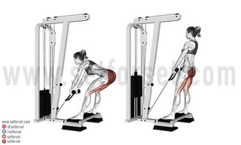 14 Best Cable Machine Leg & Glute Exercises - SET FOR SET Cable Leg Exercises, Cable Machine Leg Workout, Leg And Glute Workouts, Cable Deadlift, Cable Workouts, Cable Exercises, Cable Machine Workout, Leg Workout Women, Corp Perfect