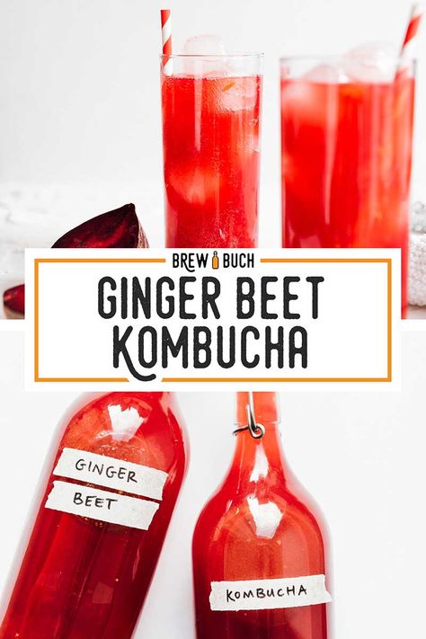 This Ginger Beet Kombucha is an antioxidant packed fermented brew that even the beet haters might like! It's a balance between sweet and zingy, with a color that pops! #kombucha #fermentation #drink #beverage #beet Grape Kombucha, Rainbow Eating, Fermented Soda, Kombucha Flavors Recipes, Fermentation Station, Kombucha Recipes, Kombucha Drink, Kombucha Flavors, Kombucha Recipe