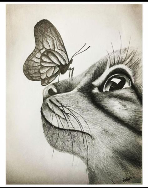 Pencil shading sketch Simple Cat Tattoo, Line Art Simple, Cat Tattoo Ideas, Lion Sketch, Cat Tattoo Designs, Black And White Art Drawing, Cool Pencil Drawings, Sketch Pencil, Butterfly Drawing