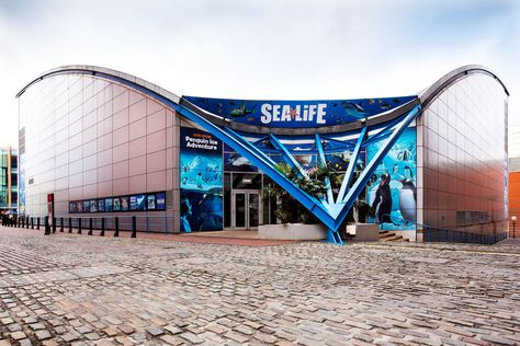 Sea Life Centre, Birmingham Uk, Local Guide, Sealife, Tourist Attraction, Sea Life, Birmingham, Places To See, United Kingdom