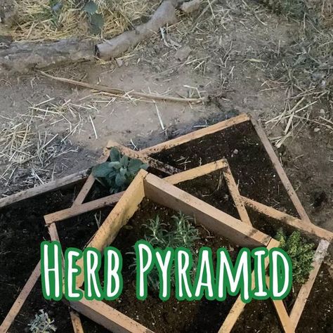 Project Permacultura on Instagram: "Have you heard of a herb pyramid? I finally got round to building a herb pyramid.🌱🛕 It’s a great way to plant a variety of herbs in small space whilst orientating it in a way that puts sun loving herbs on the south side and shade lovers on the north. You can also plant moisture loving herbs at the bottom and work up to one’s that prefer drier soil. I have planted; rosemary, thyme and sage near the top south side and coriander, parsley and rue on the bot Herb Pyramid, Herb Bed, Herb Spiral, Yard Inspiration, Gardening Inspiration, Garden Plans, Backyard Inspiration, Rain Garden, Planting Herbs