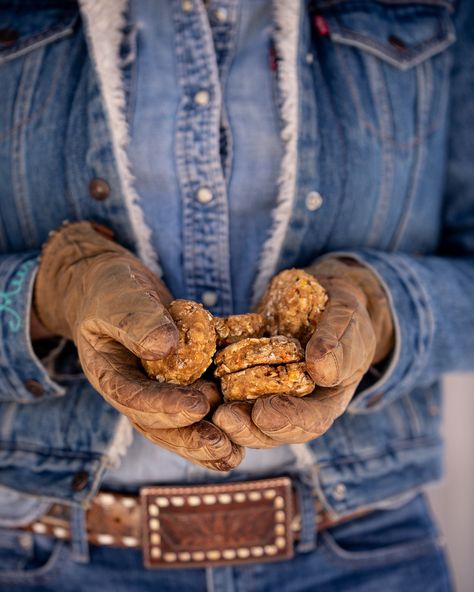 Galloping Goodies Horse Treats Recipe - Mountain Living Horse Treat Recipes, Horse Treats Recipe, Homemade Horse Treats, Spent Grain, Horse Cookies, Diy Treats, Horse Exercises, Horse Camp, Horse Treats