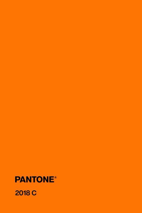 #pantone #orange #color #pantone2018c Orange Pantone, Pantone Orange, Pantone Colour Palettes, Orange Color Palettes, Palette Design, Vision Eye, Color Palette Design, Complementary Colors, Shades Of Orange