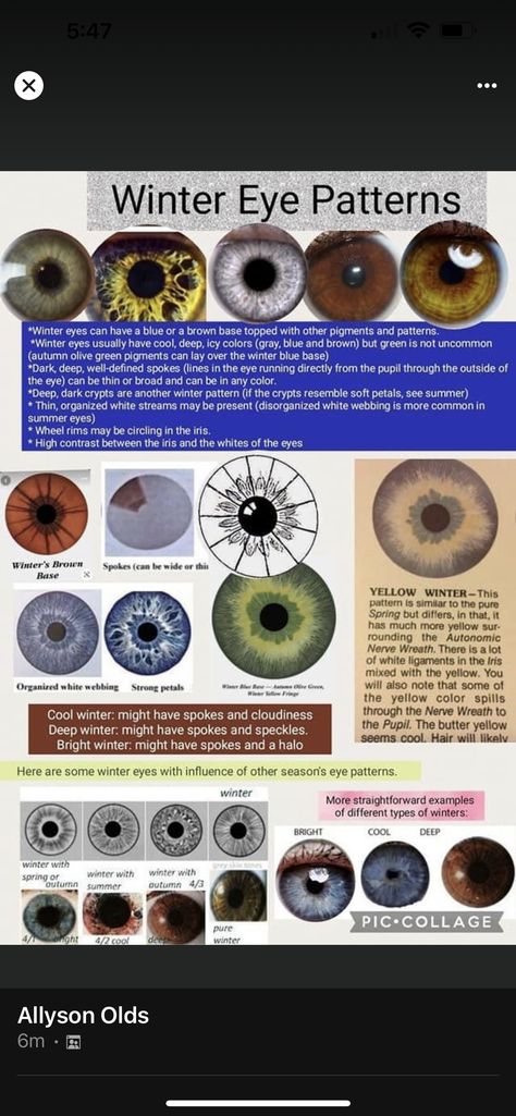 Winter Eye Pattern Color Analysis, Color Season Eye Pattern, Seasonal Color Analysis Eyes, Winter Eye Pattern, Color Analysis Eye Pattern, Eye Pattern Color Analysis, Bright Winter Hair Color, Season Palette, Shaded Summer