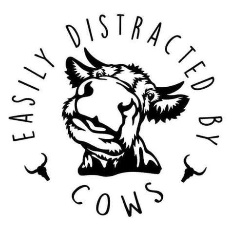 Farm Animal Stencils, Cow Svg Free, Western Decals, Cricket Joy, Farm Shirts, Tshirt Sayings, Black And White Wallpaper Iphone, Cow Vector, Cow Svg