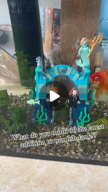 Mr Twist on Instagram: "This is for the #harrypotter and #lego fans! #triwizardtournament #aquarium #goldfish" Harry Potter Aquarium, Lego Aquarium, Lego Fish, Aquarium Goldfish, Harry Potter Lego, Lego Decorations, Triwizard Tournament, Lego Harry Potter, Black Decor