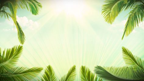 Palm Sunday Flyer Design, Palm Sunday Background, Hosanna Ministries, Palm Sunday Background Images, Palm Sunday Flyer, Palm Sunday Poster Design, Palm Sunday Poster, Worship Backgrounds Powerpoint, Worship Ppt Background