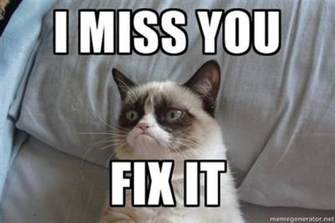 Missing You Memes, Grumpy Cat Meme, Miss You Funny, Sf Wallpaper, Cat Advice, Grumpy Cat Humor, Wallpaper Collage, Angry Cat, School Memes