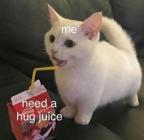 Erich Von Stroheim, Gatos Cool, I Need A Hug, Cute Love Memes, Memes Humor, Wholesome Memes, Cute Memes, Love Memes, E Card