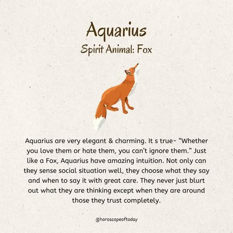 Aquarius Animal, Spirit Animal Fox, February Aesthetic, Witch Cabin, Spiritual Animals, Greek Mythology Stories, Aquarius Symbol, Spirit Animal Meaning, Star Sign Art