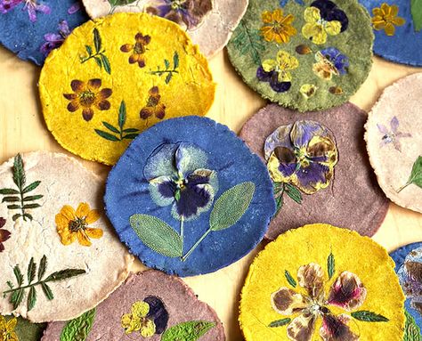 Recipe For Tortillas, Flower Tortillas, Edible Flowers Recipes, Taco Restaurant, Blue Frosting, Tortilla Press, Summer Menu, Butterfly Pea Flower, Tortilla Recipe