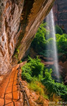 Zion Canyon, Waterfall Trail, Zion National Park Utah, Trail Hiking, Hiking National Parks, Hiking Guide, Utah Photography, Southern Utah, National Parks Trip