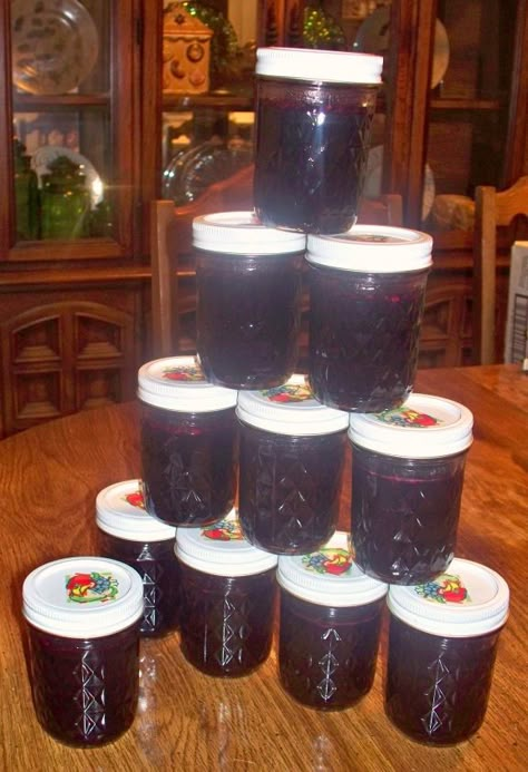 Blueberry Pepper Jelly Recipe, Blueberry Jalapeno Jam Recipe, Blueberry Jalapeno Jelly Recipe, Jalapeno Jelly Recipes, Jalapeño Jelly, Jalapeno Pepper Jelly, Canning Jam Recipes, Blueberry Jelly, Pepper Jelly Recipes