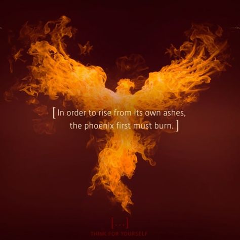 Think For Yourself on Instagram: “[ In order to rise from its own ashes, a Phoenix first must burn. ] ⠀ #thinkforyourself #questioneverything #wakeupthinkact…” Phoenix Quotes, Burned Quotes, Power Ideas, Successful Mindset, Phoenix Artwork, Phoenix Images, Phoenix Art, Women Power, Hero's Journey